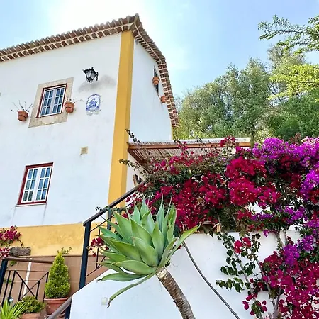 Artisan's * 오비도스